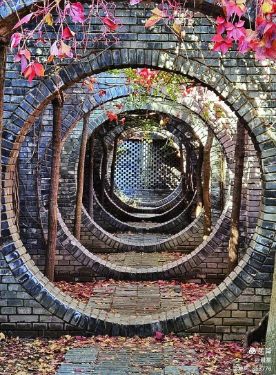 暗香盈袖 月滿西樓——淺談秋日?qǐng)@居的營(yíng)造意趣