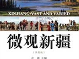 《微觀新疆》：輕松閱讀體驗(yàn)大美